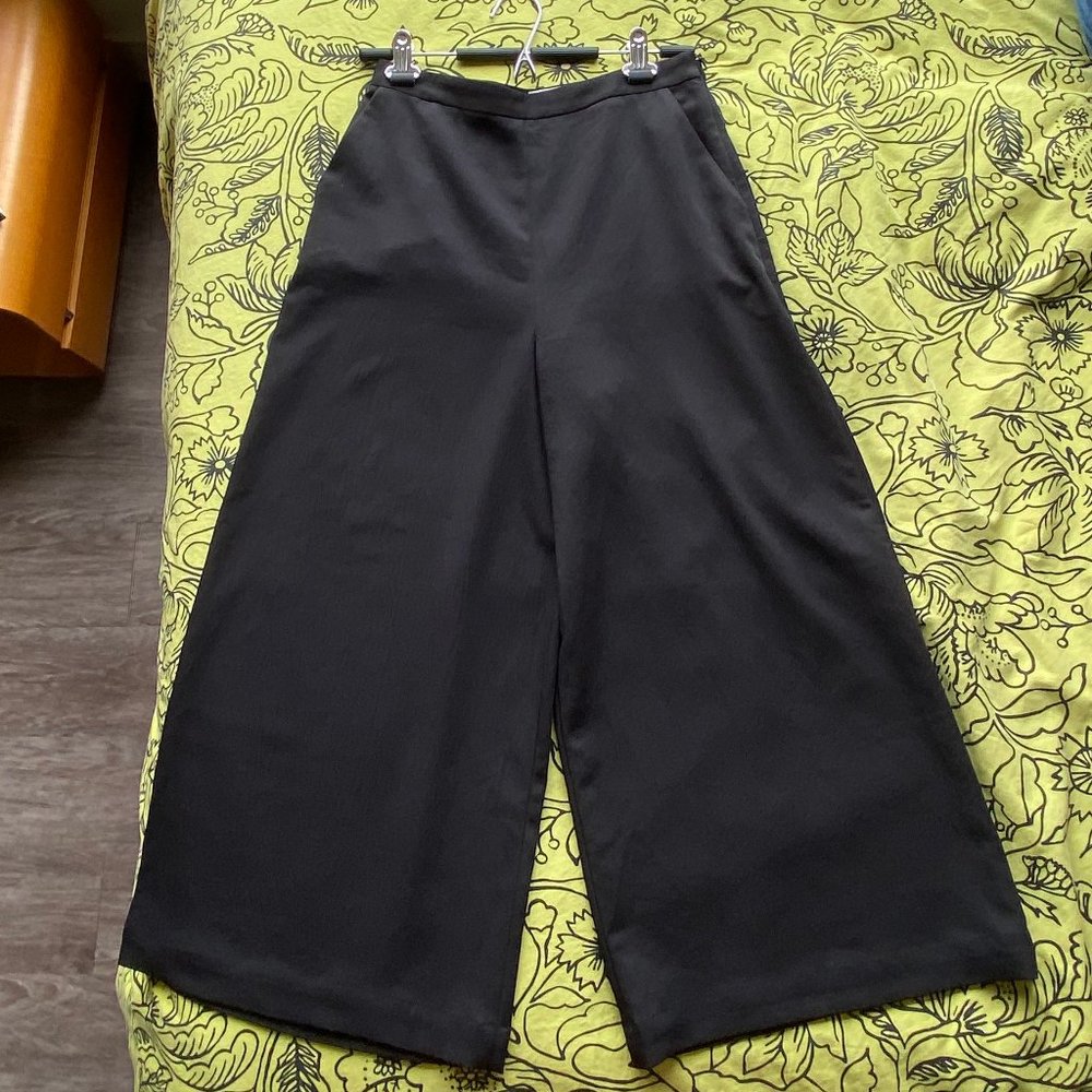 Aritzia High waist, wide-leg, cropped trouser sz 8